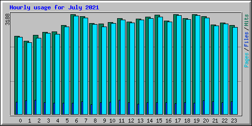 Hourly usage for July 2021