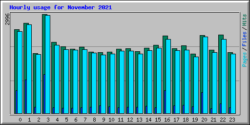 Hourly usage for November 2021