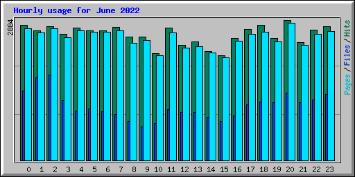 Hourly usage for June 2022