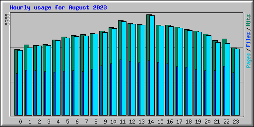 Hourly usage for August 2023