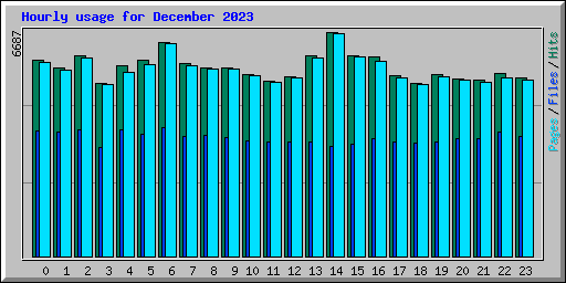 Hourly usage for December 2023