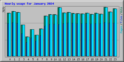 Hourly usage for January 2024