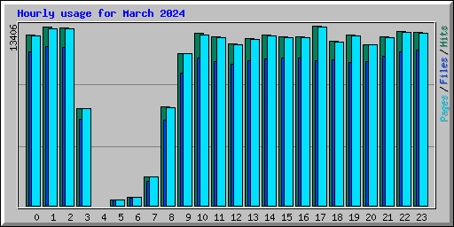 Hourly usage for March 2024