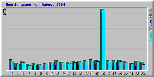 Hourly usage for August 2024