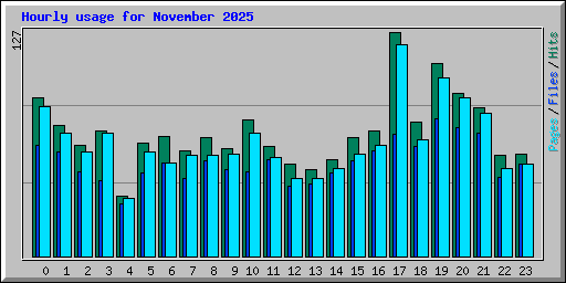 Hourly usage for November 2025