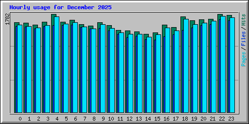 Hourly usage for December 2025
