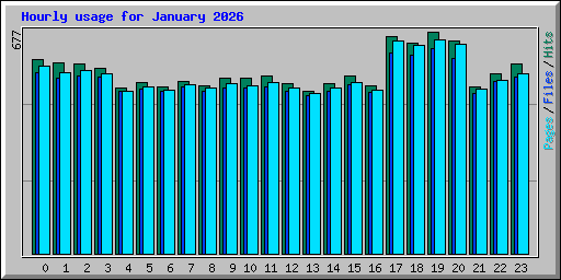 Hourly usage for January 2026