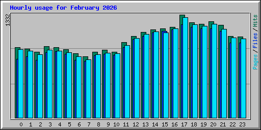 Hourly usage for February 2026
