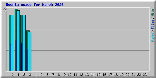 Hourly usage for March 2026